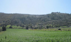 Residential 11706 m2 for sale in Alethriko, Larnaca