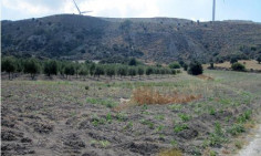 Agricultural for sale in Alethriko