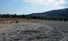 Agricultural for sale in Alethriko