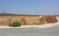 Residential 556 m2 for sale in Alaminos, Larnaca