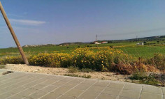 Residential 553 m2 for sale in Alaminos, Larnaca