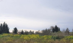 Residential 2342 m2 for sale in Polemi, Paphos