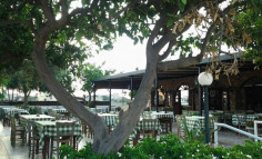 Commercial (shop) in Sotira, Famagusta for sale 
