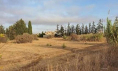 Residential 7096 m2 for sale in Kokkinotrimithia, Nicosia