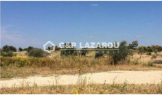 Large land for sale in Mazotos, Larnaca