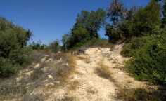 Residential 6247 m2 for sale in Tala, Paphos