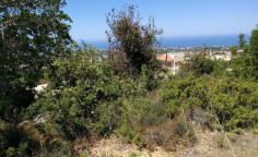Residential 6247 m2 for sale in Tala, Paphos