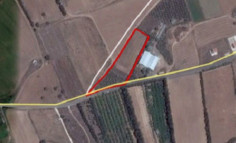 Residential 6308 m2 for sale in Kouklia, Paphos