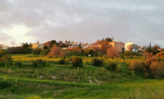 Residential 5686 m2 for sale in Tremithousa, Paphos