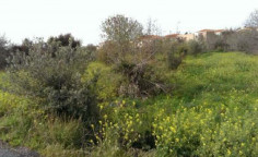 Large residential for sale in Kissonerga, Paphos
