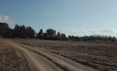 Land 1087 m2 for sale in Poli Crysochous, Paphos