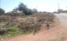 (industrial) in Pegeia, Paphos for sale 
