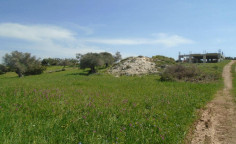 4 bedroom house with swimming pool for sale in Neo Chorio