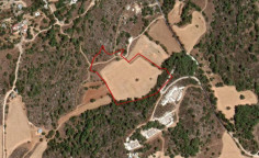 (agricultural) in Lysos, Paphos for sale , Paphos