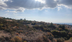 Residential 879 m2 for sale in Tala, Paphos