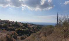 Residential 879 m2 for sale in Tala, Paphos