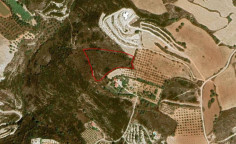 Lovely land for sale in Armou, Paphos