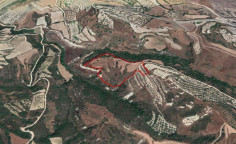 (agricultural) in Simou, Paphos for sale , Paphos