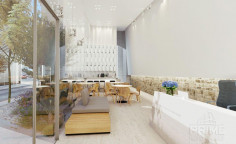 Luxury commercial for sale in Old Town
