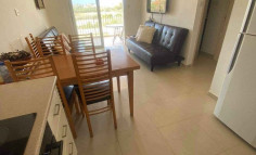 1 bedroom furnished penthouse for sale in Paralimni