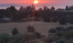 Polis, Paphos 