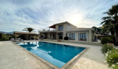 Polis, Paphos 