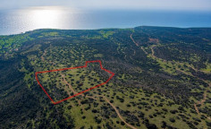 Land 40135 m2 for sale in Pissouri, Limassol