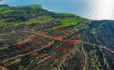 Land 44683 m2 for sale in Pissouri, Limassol