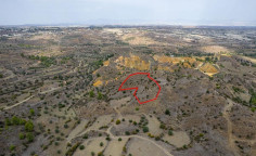 Field in Kapedes, Nicosia 