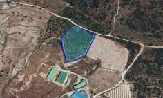 Large land 13044 m2 for sale in Pissouri, Limassol