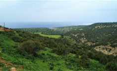 Luxury new villa in the forest of akamas 