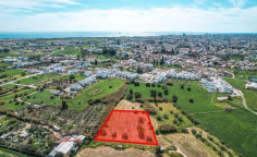 Field in Livadia, Larnaca , Larnaca