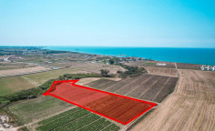 Land 7805 m2 for sale in Softades, Larnaca