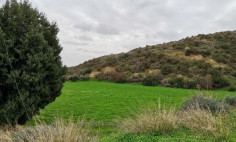 Residential 8362 m2 for sale in Pissouri, Limassol