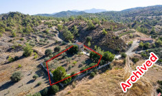 Field with a house in Kapedes, Nicosia 