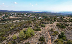 Field in Souni, Limassol , Limassol