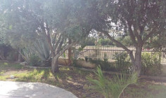 A four bedroom detached house for sale just off Dekelia road with private swimming pool and comes with title deeds