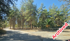 Luxury 3 apartment for sale in Agioi Omologites