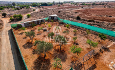 Agricultural land in Paralimni, Famagusta , Famagusta