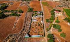 Agricultural land in Paralimni, Famagusta , Famagusta