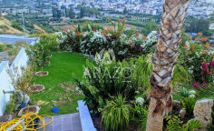 6 bedroom furnished villa with swimming pool to rent in Germasogeia