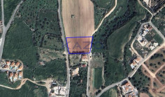 Large 3578 m2 development land for sale in Anarita , Paphos