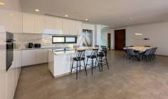 4 bedroom furnished villa with swimming pool to rent in Ayia Napa
