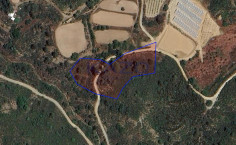 Large 5352m2 field for sale in green Kellaki (landlocked) , Limassol Large 5352m2 field for sale in green Kellaki (landlocked) , Limassol
