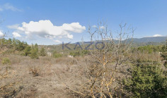Residential field plot 2007 m2 in sunny Mandria (public road) , Limassol