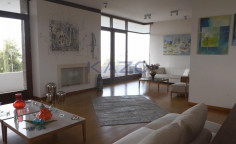 Spacious Egkomi villa with gym and garden 