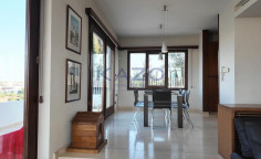 Spacious Egkomi villa with gym and garden 