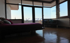 Spacious Egkomi villa with gym and garden 