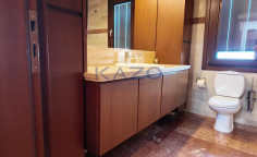 Spacious Egkomi villa with gym and garden 