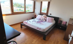 Spacious Egkomi villa with gym and garden 